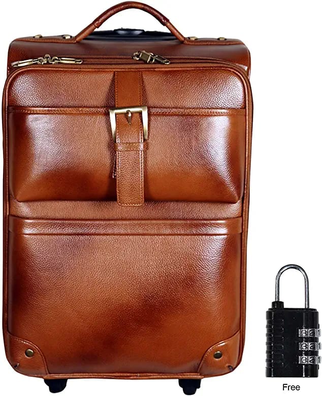 Louis Denis Leather Trolley Bag Suitcase for Men (Brown)