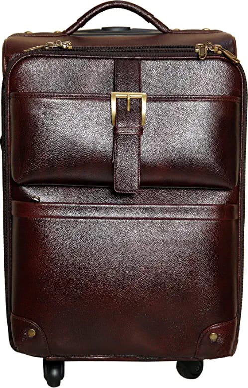 Louis Denis Leather Trolley Bag Suitcase for Men (Brown)